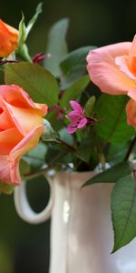 Roses,Blur,Smooth,Jug,Flowers