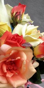 Roses,Bouquet,Calla,Callas,Flowers,Tape