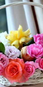 Roses,Buds,Basket,Charm,Lukoshko,Flowers