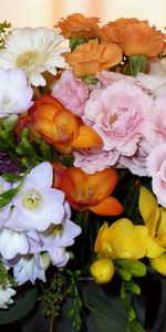 Roses,Gerberas,Typography,Registration,Bouquet,Flowers,Freesia