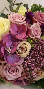 Roses,Greens,Bouquet,Freshness,Flowers,Lilac,Drops,Composition