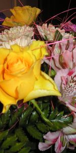 Roses,Leaves,Registration,Typography,Bouquet,Alstroemeria,Irises,Flowers,Close Up