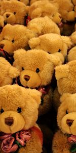 Roses,Miscellanea,Miscellaneous,Toy,Bears