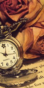 Roses,Miscellanea,Read,Miscellaneous,Clock,Reading