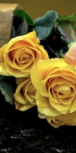 Roses,Reflection,Bouquet,Mug,Flowers,Cup