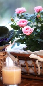 Boire,Paniers,Panier,Boisson,Verre,Floraison,Fleurs,Roses,Violettes