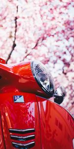 Scooter,Patinete,Vespa,Sakura,Motocicletas