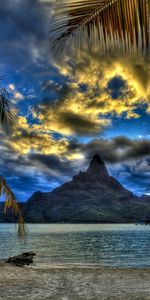 Sea,Clouds,Mountain,Vertex,Top,Branches,Branch,Nature,Palms,Sand,Beach