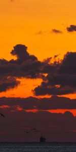 Sea,Clouds,Sunset,Dark,Birds,Ship