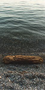 Sea,Coast,Log,Nature,Pebble