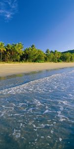 Sea,Foam,Sand,Palms,Tropics,Nature,Beach