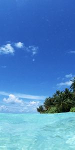 Sea,Landscape,Nature,Palms