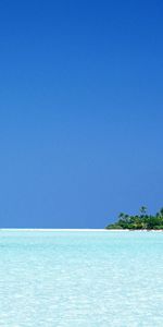 Sea,Landscape,Palms