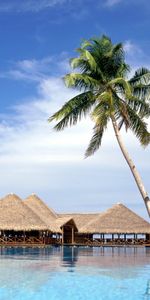 Sea,Landscape,Palms