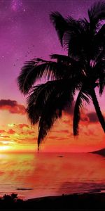 Sea,Landscape,Sky,Palms,Trees,Sunset