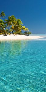 Paysage,Mer,Palms,Plage