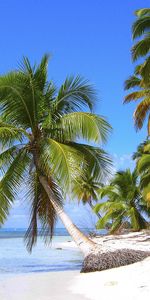 Sea,Palms,Landscape,Beach