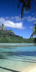 Sea,Palms,Landscape,Beach