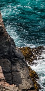 Nature,Roches,Mousse,Surfer,Algue,Les Rochers,Écume,Le Surf,Mer