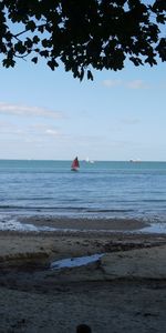 Nature,Banque,Branches,Rive,Paysage,Mer