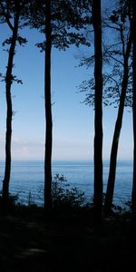 Sea,Shore,Bank,Nature,Trees,Dark