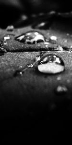 Shadow,Bw,Dew,Drops,Chb,Surface