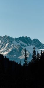 Contraste,Nature,Forêt,Ombre,Montagnes,Sombre