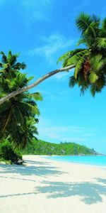 Shadow,Nature,Tropics,Sea,Beach