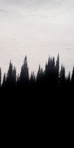 Shadow,Trees,Textures,Texture,Wall