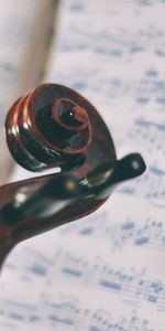 Feuille,Violon,Remarques,Musique,Macro,Divers