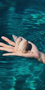 Shell,Water,Miscellanea,Miscellaneous,Hand