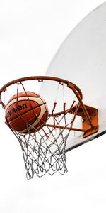 Shield,Ball,Basketball Net,Basketball Grid,Basketball Hoop,Basketball Ring,Sports,Basketball