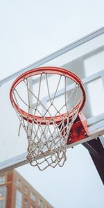 Bouclier,Scute,Grille,Bague,Panier De Basket,Bague De Basket Ball,Sport,Basket Ball