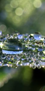 Drops,Macro,Brillar,Hoja,Sábana,Brillo