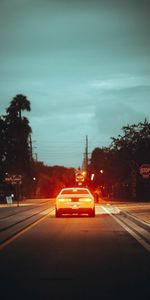 Shine,Dusk,Cars,Light,Road,Car,Twilight,Street