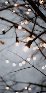 Shine,Garland,Decoration,Garlands,Light Bulbs,Light,Miscellanea,Branches,Miscellaneous