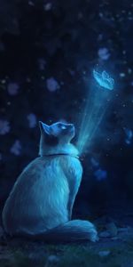 Shine,Light,Butterfly,Illusion,Cat,Art