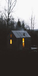 Shine,Light,Forest,Ballater,Lodge,National Park,Dark,Small House