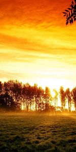 Shine,Light,Haze,Steam,Arable Land,Nature,Trees,Sunset,Field,Glow