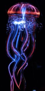 Shine,Light,Miscellanea,Miscellaneous,Tentacles,Luminous,Jellyfish,Glass,Artificial