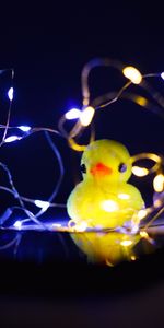 Shine,Light,Miscellanea,Miscellaneous,Toy,Duck,Garland