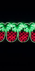 Shine,Light,Miscellanea,Signboard,Pineapples,Miscellaneous,Sign,Neon