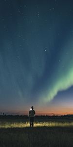 Shine,Light,Silhouette,Starry Sky,Night,Dark,Northern Lights,Aurora Borealis