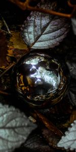 Shine,Miscellanea,Miscellaneous,Brilliance,Ball,Foliage