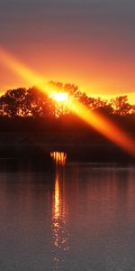 Shine,Rivers,Light,Trees,Nature,Sunset