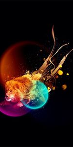 Shining,Shine,Light,Beams,Rays,Motley,Multicolored,Lion,Abstract