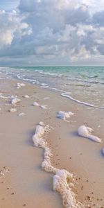 Shore,Bank,Foam,Nature,Sea