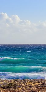 Shore,Bank,Foam,Nature,Sea,Ocean