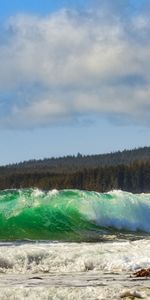 Shore,Bank,Foam,Surf,Nature,Sea