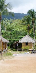 Orilla,Banco,Ciclomotor,Naturaleza,Palms,Chozas,Playa